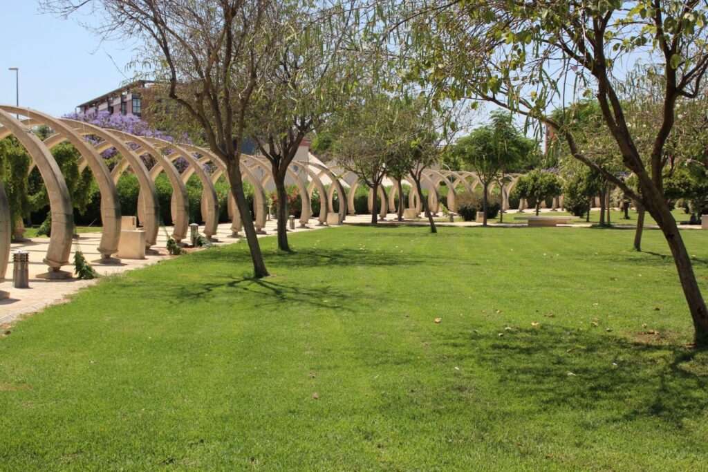 San Vicente del Raspeig 4